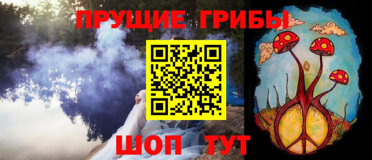 Ачинск  Псилоцибиновые грибы прущие грибы  Вход с VPN  Галлюциногенные грибы Psilocybe 